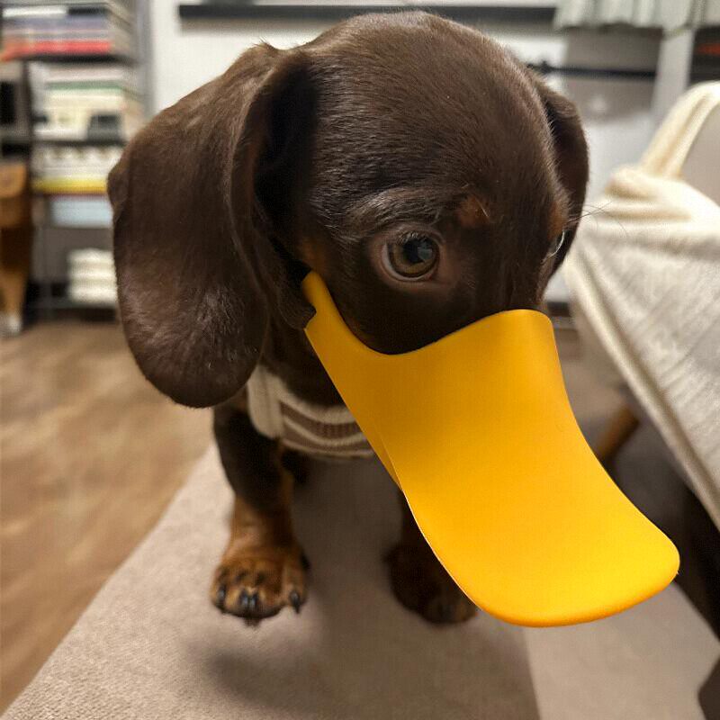 Dog Muzzle Silicone - Honden siliconen eendmuilkorf voor worsthonden anti-bijt