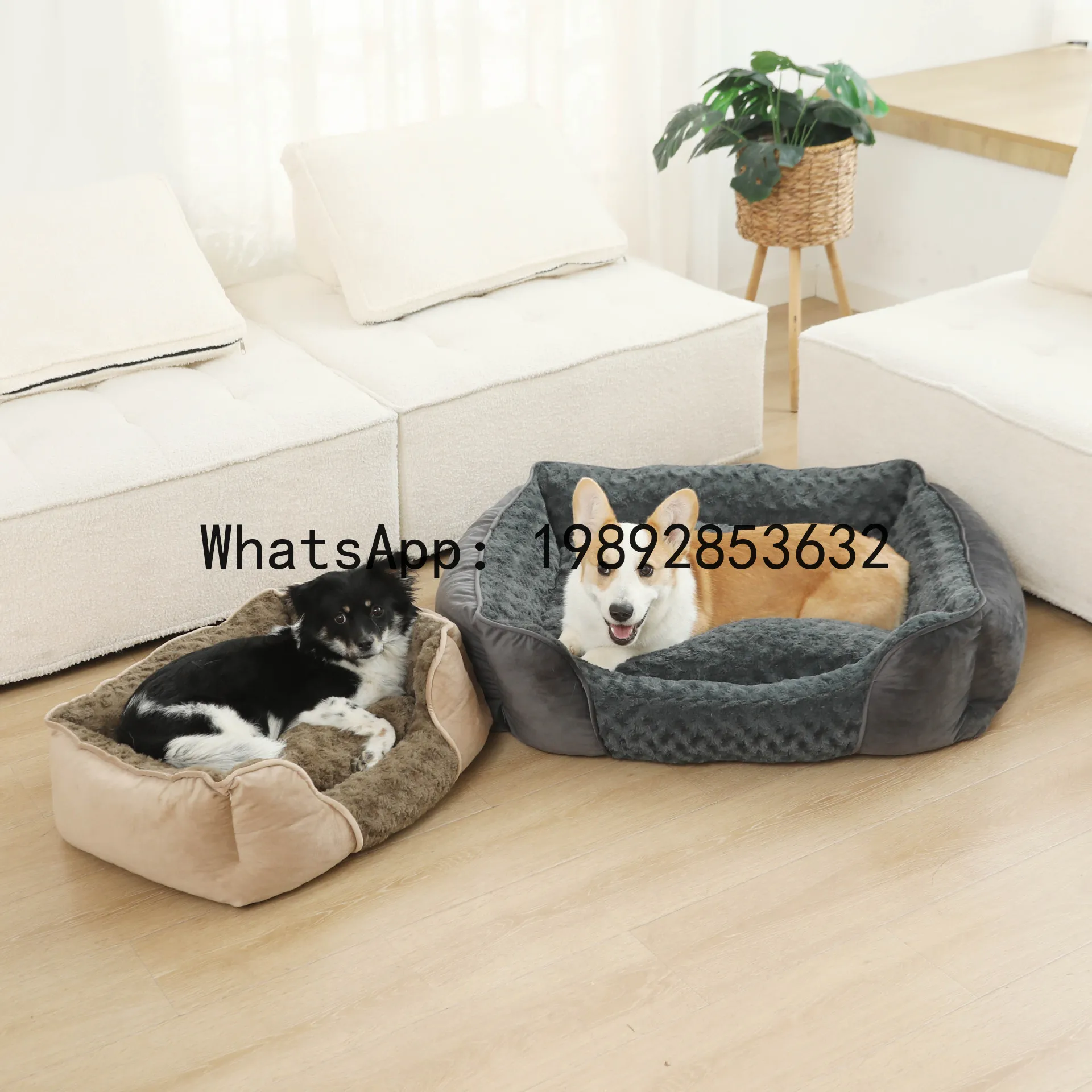 Pet X Supplies & Tack - X kattenhuis semi-gesloten hondenkennel dierenbenodigdheden voor