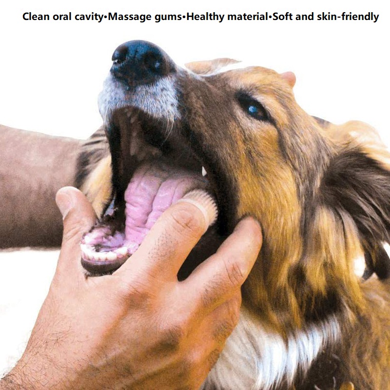 3PCS Tandheelkundige Reiniging - Dog Muzzle Silicone recensie en prijs