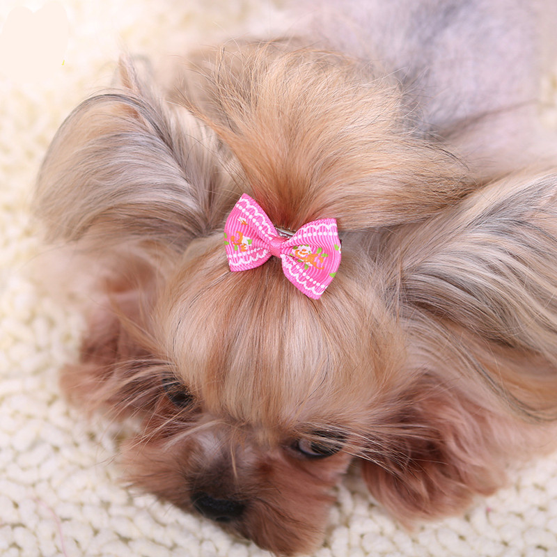 Nieuwe Haarspeld Voor Honden K - Pet Supplies York recensie en prijs