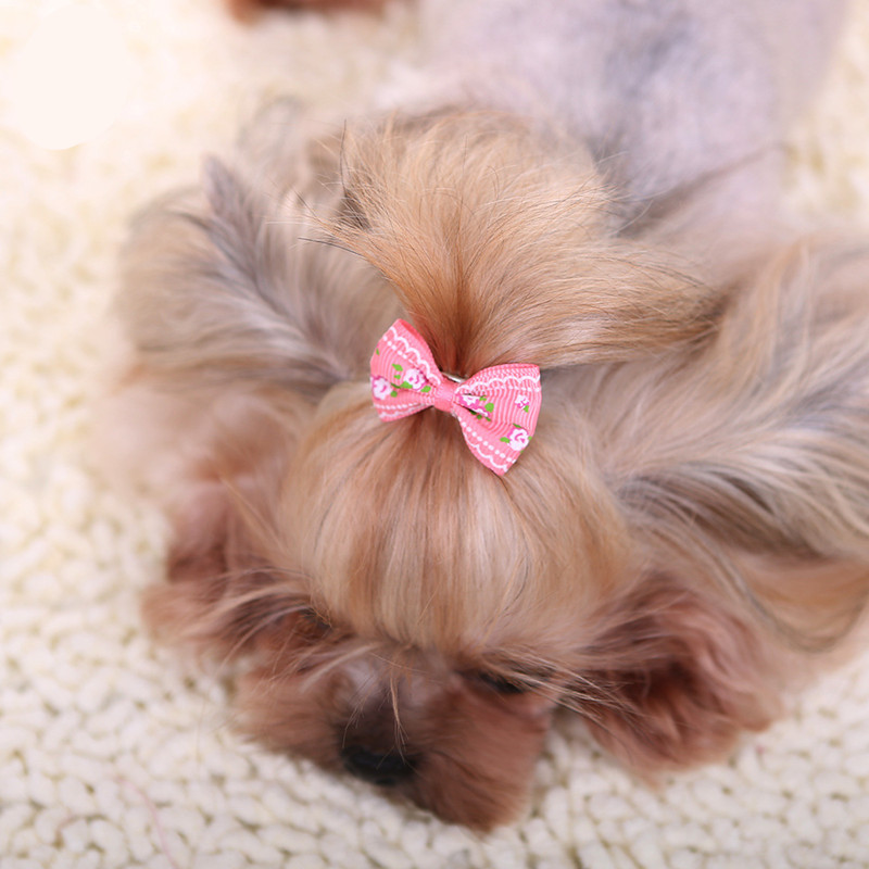 Nieuwe Haarspeld Voor Honden K - Pet Supplies York recensie en prijs
