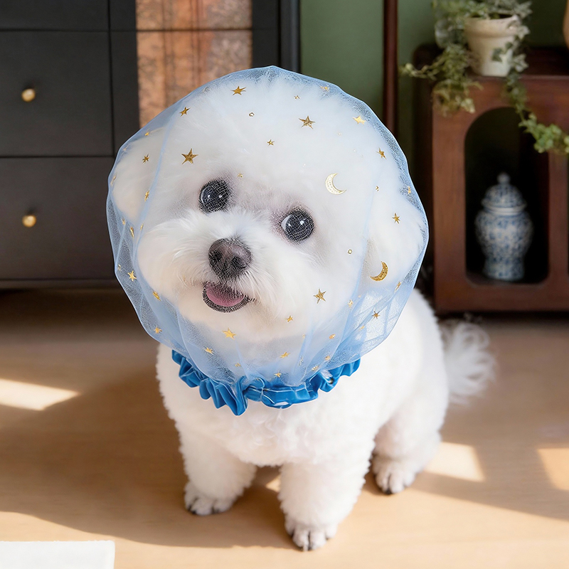 Anti Bark Zomer Hondenpet Outd - Pet Supplies York recensie en prijs