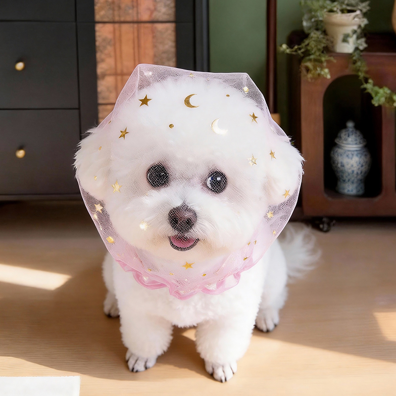 Anti Bark Zomer Hondenpet Outd - Pet Supplies York recensie en prijs