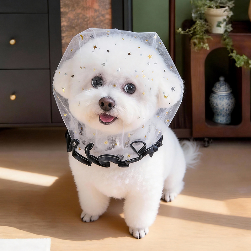 Anti Bark Zomer Hondenpet Outd - Pet Supplies York recensie en prijs