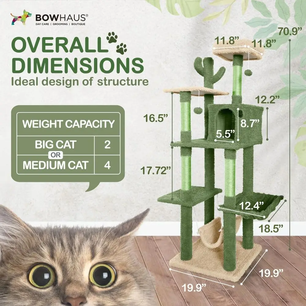 Multilevel kattenboom met cact - Cat Scratching Post recensie en prijs