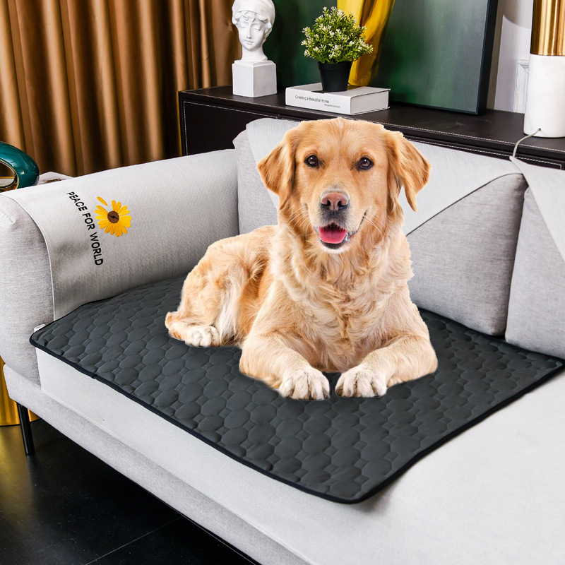 Hond Urine Mat Wasbaar Herbrui - Pet Supplies Dog Wash recensie en prijs