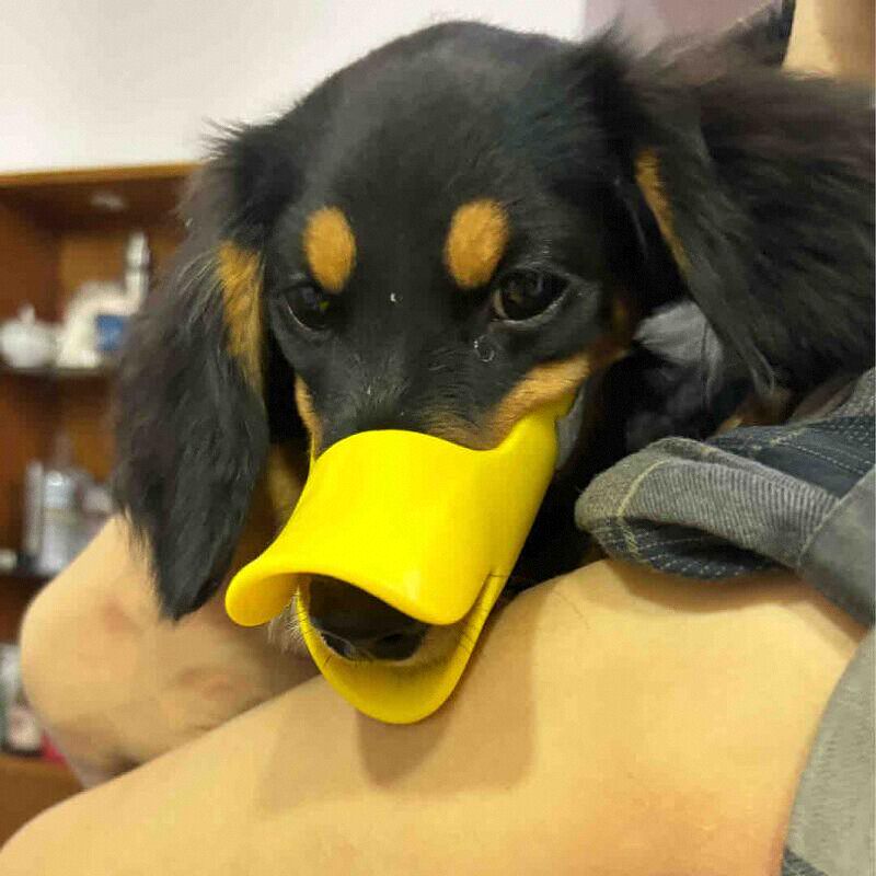 Honden siliconen eendmuilkorf  - Dog Muzzle Silicone recensie en prijs