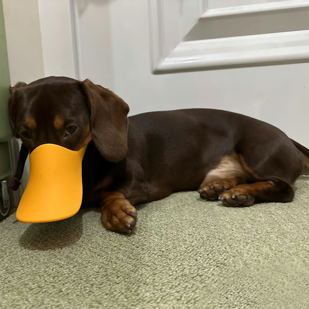 Honden siliconen eendmuilkorf  - Dog Muzzle Silicone recensie en prijs
