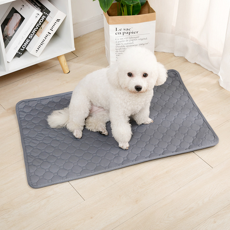 Herbruikbare Hondenplasmat Abs - Pet Supplies Dog Wash recensie en prijs