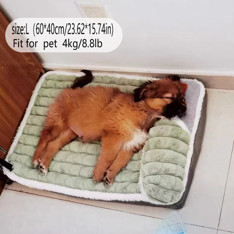 Grensoverschrijdende nieuwe co - Pet Supplies Dog Wash recensie en prijs