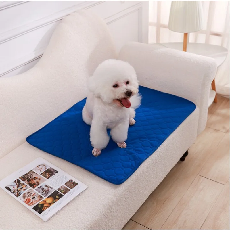 Herbruikbare hondenuitlaatmat, - Pet Supplies Dog Wash recensie en prijs