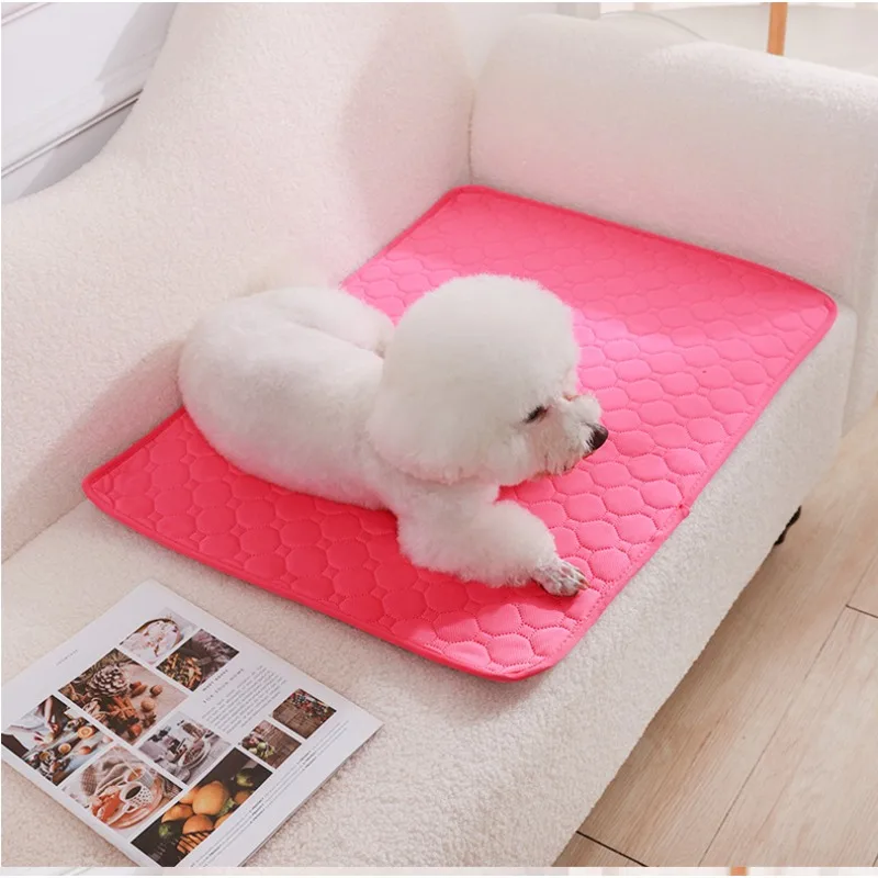 Herbruikbare hondenuitlaatmat, - Pet Supplies Dog Wash recensie en prijs