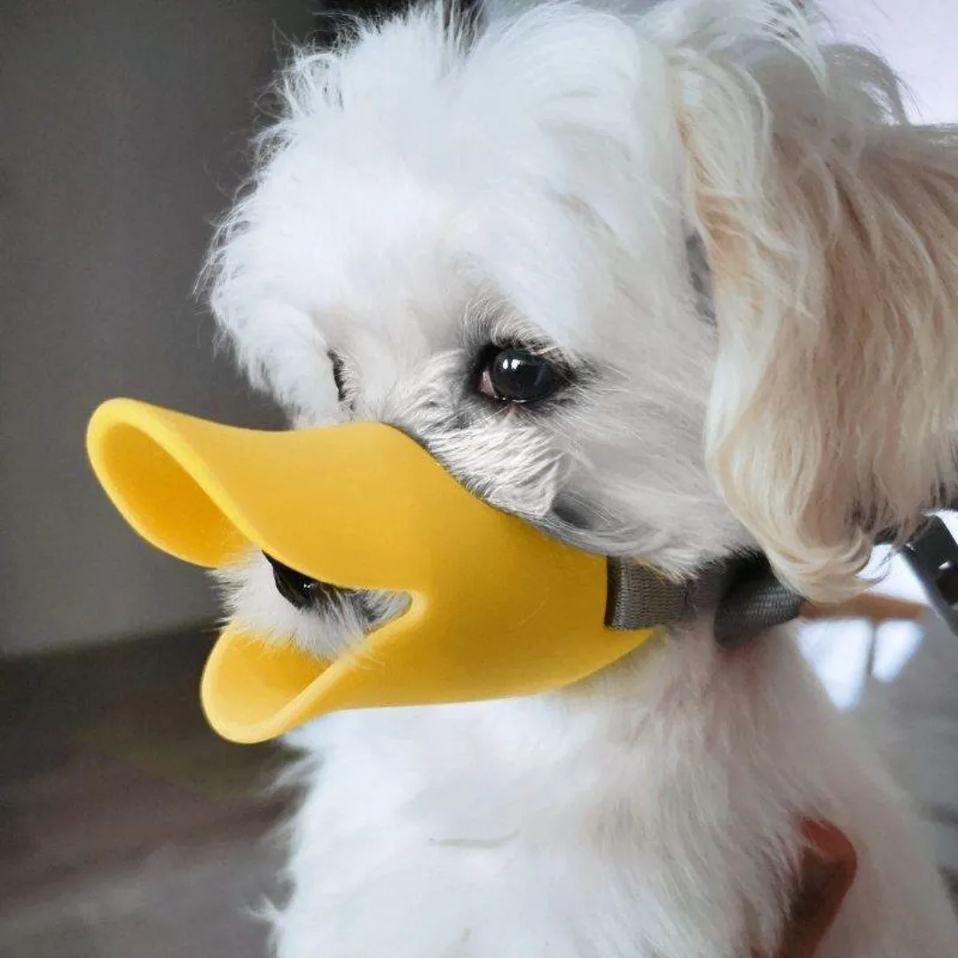 Hond Siliconen Eendensnuit Voo - Dog Muzzle Silicone recensie en prijs
