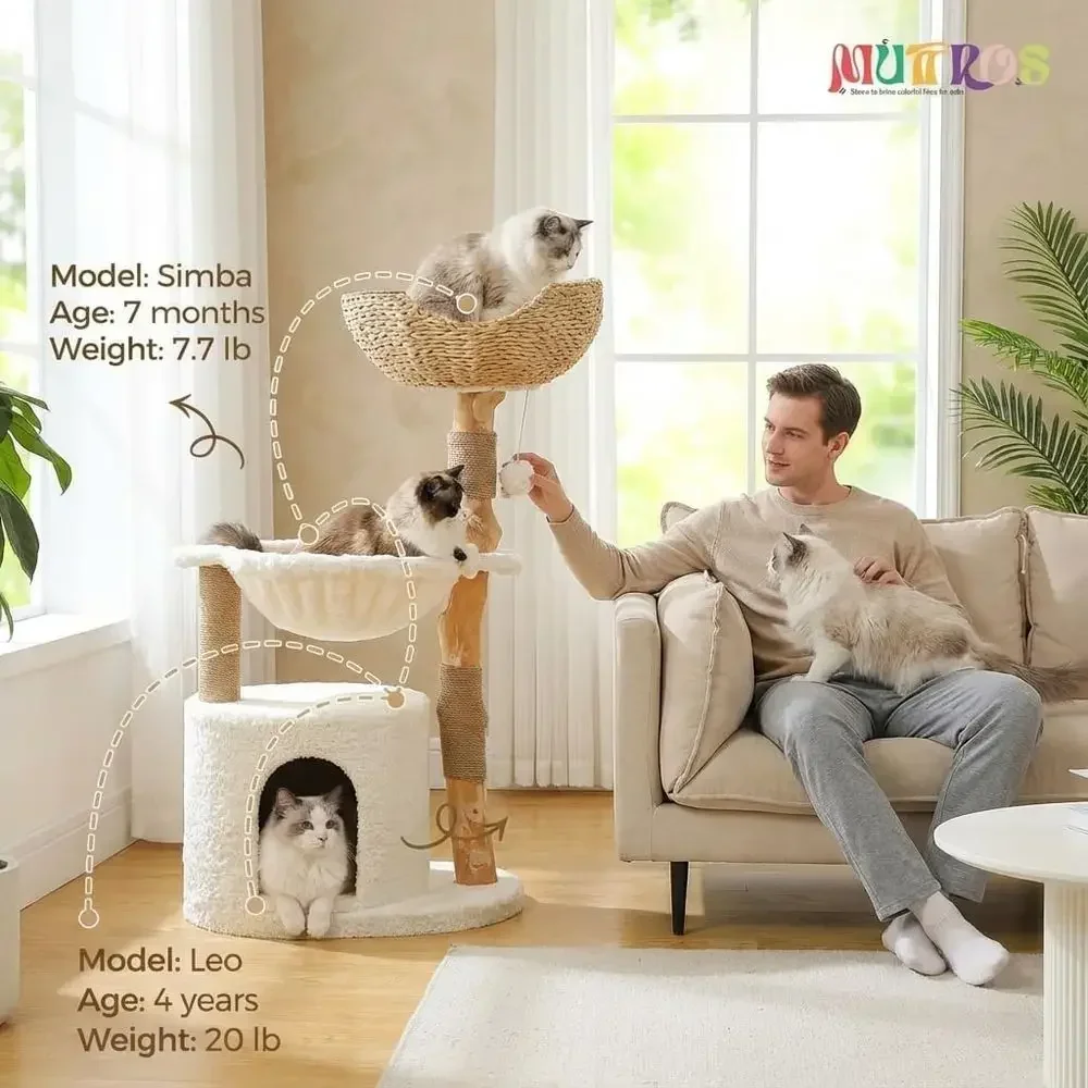 Grote, knusse kattenboom met e - Cat Scratching Post recensie en prijs