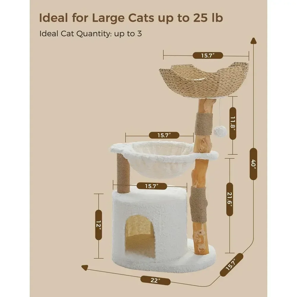 Grote, knusse kattenboom met e - Cat Scratching Post recensie en prijs
