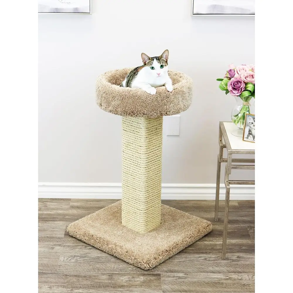 Grote krabpaal van massief hou - Cat Scratching Post recensie en prijs