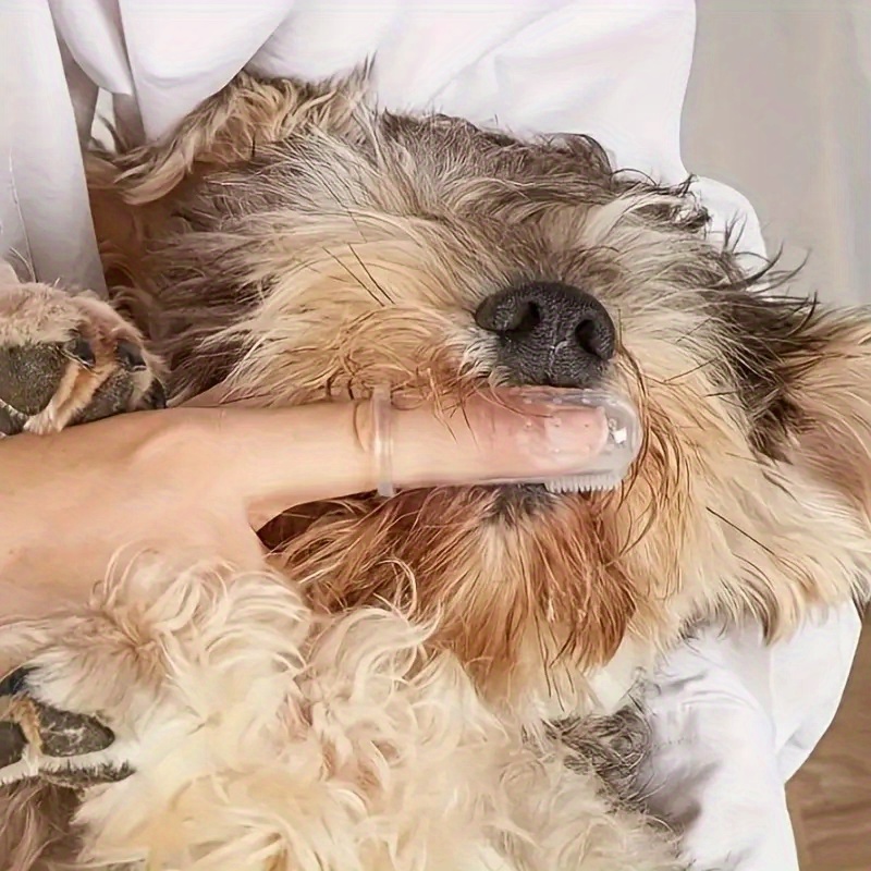 5-vinger-tandenborstels voor e - Dog Muzzle Silicone recensie en prijs