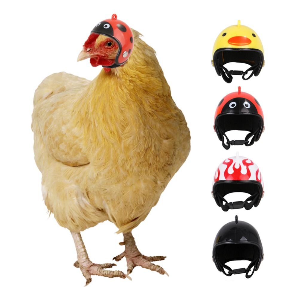 ABS Huisdierenbenodigdheden Gr - Pet X Supplies & Tack recensie en prijs