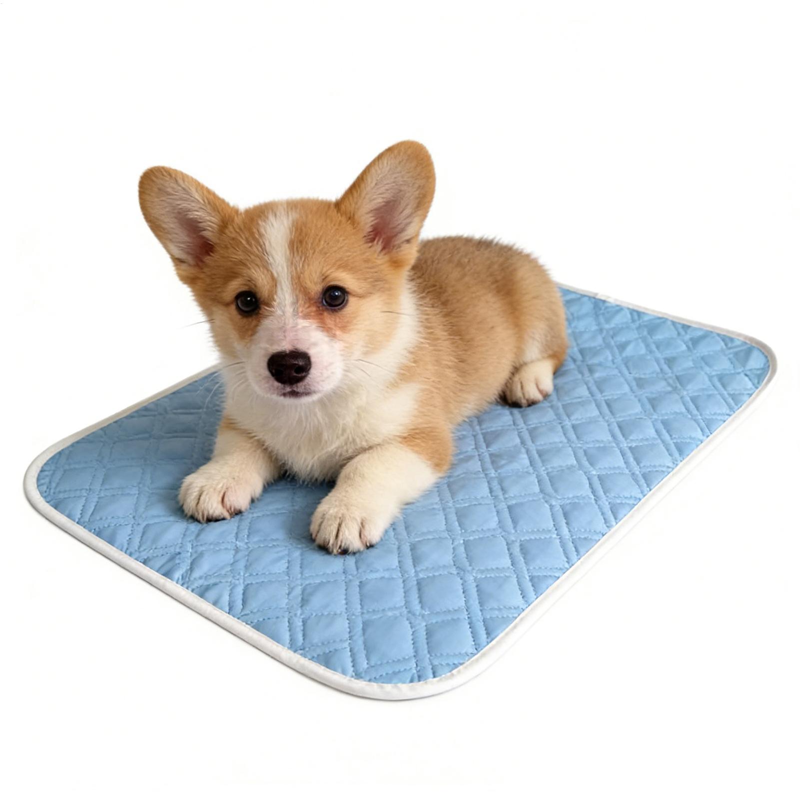 35x45cm Zomer Hondendeken Koel - Pet Supplies Self Wash recensie en prijs