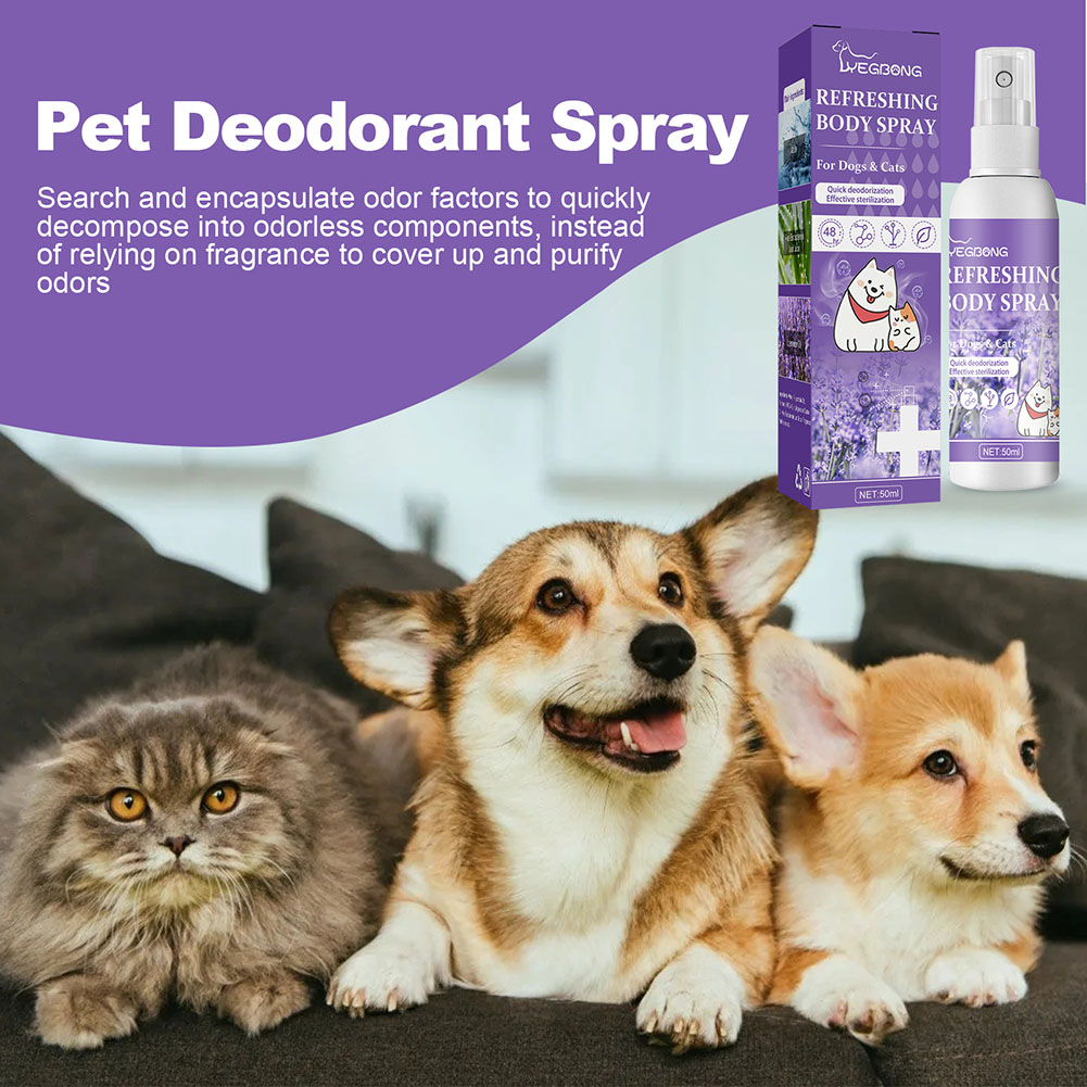 Hondenontgeuringspray, ontlast - Pet Supplies In Store recensie en prijs