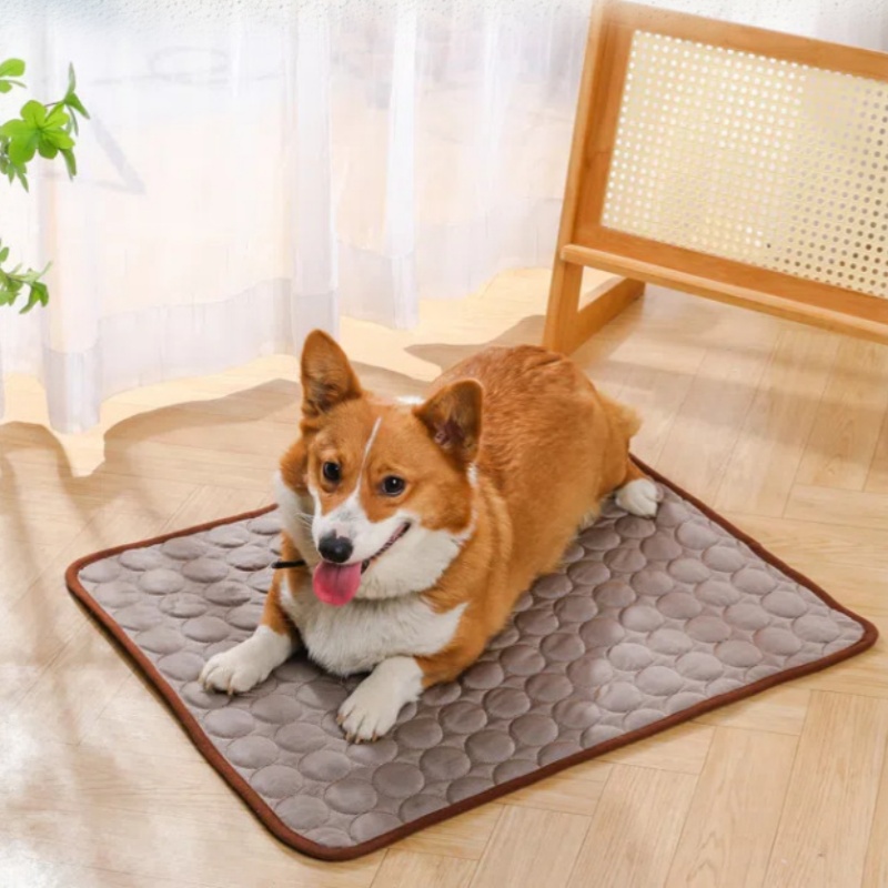Koelmat voor huisdieren, zomer - Pet Supplies Self Wash recensie en prijs